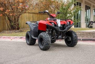 NEW 2025 YAMAHA GRIZZLY 110 