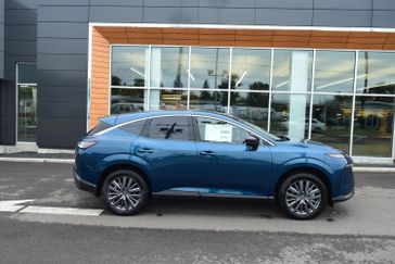 AURORA BLUE