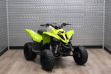 NEW 2026 YAMAHA RAPTOR 110 