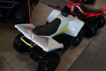 2024 CFMOTO CFORCE EV110 