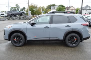 BOULDER GRAY