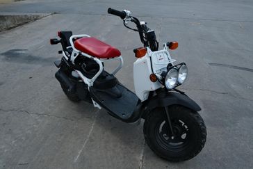 USED 2019 HONDA RUCKUS 