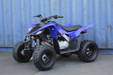 2025 Yamaha Raptor 110 