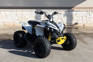 NEW 2026 CAN-AM RENEGADE 110 EFI 