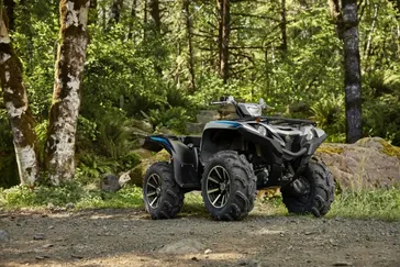 2024 GRIZZLY EPS SE