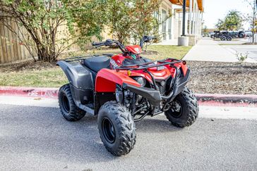 2025 YAMAHA GRIZZLY 110 GREY METALLIC AND RED 