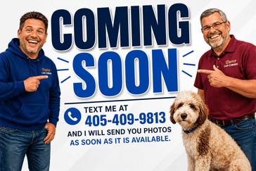 Used 2019 Dodge Grand Caravan SXT