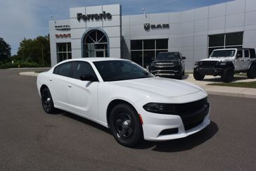 WHITE KNUCKLE CLEAR Coat