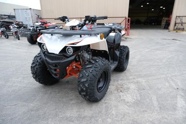 2024 KAYO BULL 110 WHITE in a WHITE exterior color. Family PowerSports (877) 886-1997 familypowersports.com 