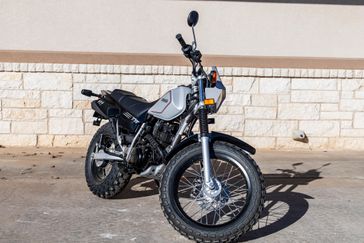 2025 Yamaha TW200 GALLANT GRAY