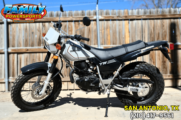 2024 Yamaha TW200 GALLANT GRAY