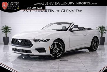 Used 2024 Ford Mustang EcoBoost Premium