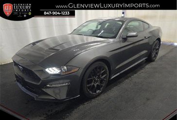 Used 2019 Ford Mustang EcoBoost Premium