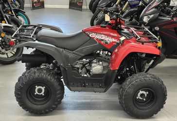 New 2025 Yamaha Grizzly 110 