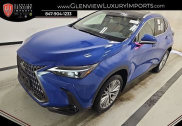 2024 Lexus NX 350h Premium