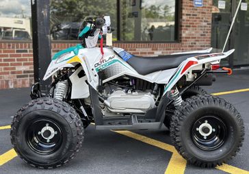 2025 Polaris Outlaw 110 