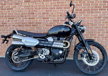 2024 Triumph Scrambler 1200 X 