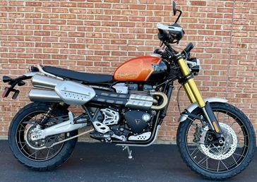 2024 Triumph Scrambler 1200 XE