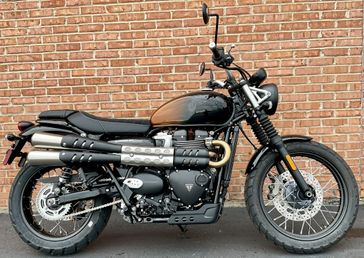 2024 Triumph Scrambler 900 