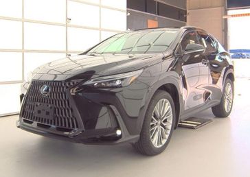 2024 Lexus NX 350 Premium