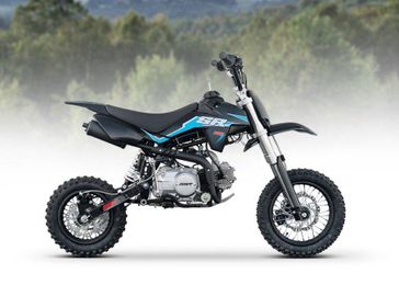 2025 SSR SR110SE 