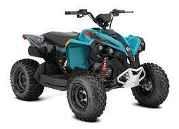 2025 Can-Am RENEGADE  2X4 110-4ST