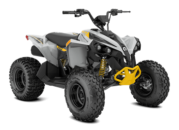 NEW 2025 CAN-AM RENEGADE 110 EFI 