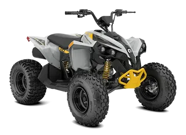 2023 Can-Am Renegade 110 EFI