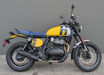 New 2025 Royal Enfield Int Bear 650 