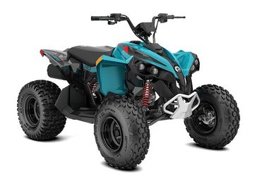 New 2026 Can-Am RENEGADE 110 EFI 