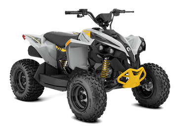 2025 Can-Am RENEGADE 110 EFI 