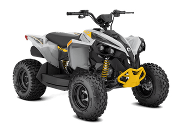 New 2026 Can-Am RENEGADE 70 EFI 