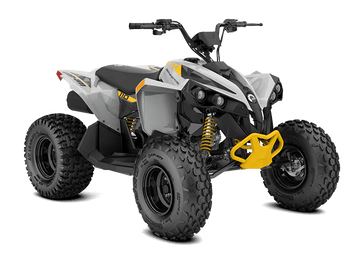 Used 2026 Can-Am RENEGADE 110 EFI 