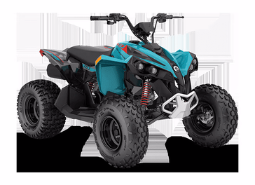New 2026 Can-Am Renegade 110 EFI 