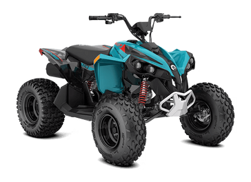 2026 Can-Am RENEGADE 110 EFI