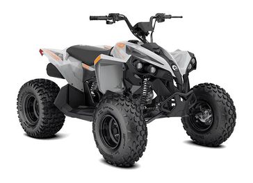 2027 Can-Am RENEGADE 110 EFI