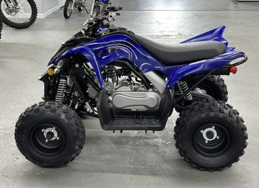 2025 Yamaha Raptor 110 