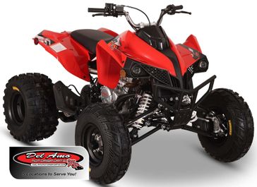 New 2026 Kayo STORM 300 