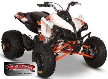 New 2026 Kayo STORM 300 