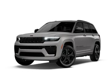 Sting-Gray Clear Coat Paint