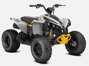 2026 Can-Am Renegade 110 EFI