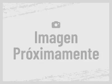 New 2025 Indian Motorcycles 2025 Indian Super Scout Limited w Tech Pack 