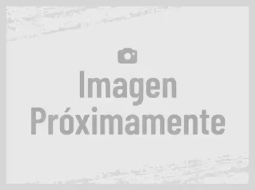 Used 2021 Indian Motorcycles SCOUT 1200 