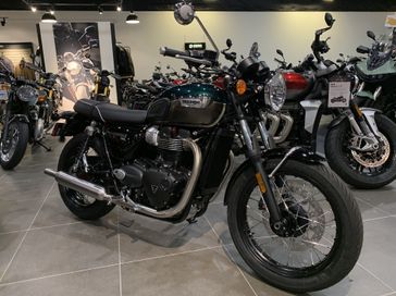 2024 Triumph Bonneville T100  in a COMP GREEN/IRONSTONE exterior color. SoSo Cycles 877-344-5251 sosocycles.com 
