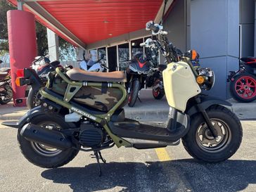 2024 Honda Ruckus