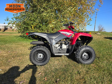 2025 Yamaha GRIZZLY 110 