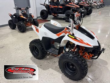 New 2026 Kayo STORM 70 
