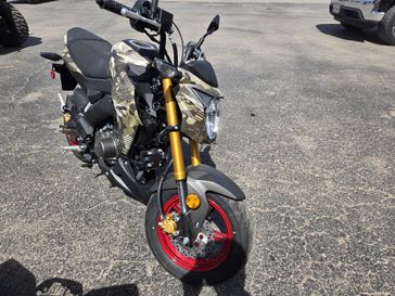 NEW 2026 KAWASAKI Z125 PRO 