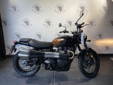 2024 Triumph SCRAMBLER 900  in a PHANTOM ORANGE exterior color. BMW Motorcycles of New Orleans 504-595-6776 motojulia.com 