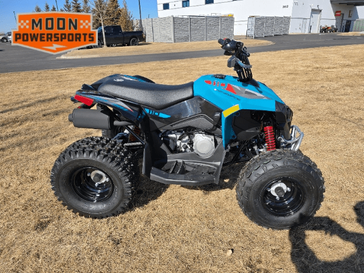 2025 Can-Am RENEGADE 110 EFI 